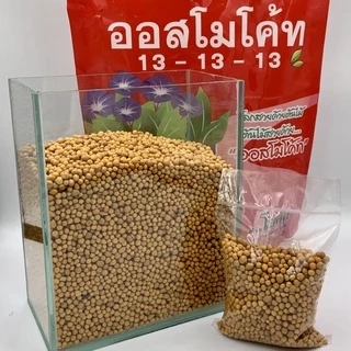 100กรัม ปุ๋ยออสโมโค้ท บำรุงต้น ออสโมโค้ท ออสโมโค้ทพลัสบำรุงดอก สตาร์เกิลจี เทอร์โมโค้ท แคปแทน มัลติเทค ไตรโคเดอร์มา