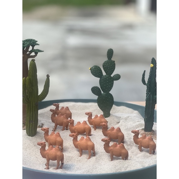 Camel sensory play โมเดลสัตว์ทะเลทราย โมเดลอูฐ🐫🐫🐫🌵🌵🌵(พร้อมส่ง🇹🇭)