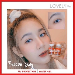 บิ๊กอาย คอนแทคเลนส์ รุ่น Puscon Gray&amp;Brown ฝาขาว ยี่ห้อ Lovely lens