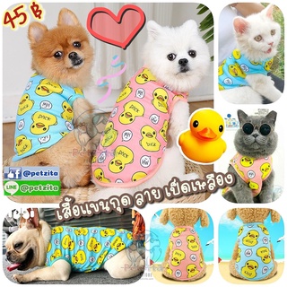 🇹🇭พร้อมส่งจร้า ❤🐥 DUCK น้องเป็ดเหลือง 🌈 เสื้อแขนกุด ใส่สบายมาก 🐶🐱 for pet เสื้อสุนัข หมา แมว