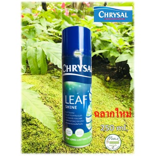 🔥โฉมใหม่🔥 Chrysal Leaf Shine คริสซอล สเปรย์ฉีดใบมัน ขนาด 250 ml. เคลือบเงาใบ สวยงาม ไม้ใบ ไม้ประดับ เงางาม