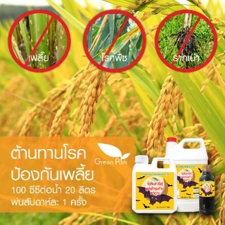 จุลินทรีย์ มูลค้างคาว 100% ขนาด 1 ลิตร น้ำหมักมูลค้างคาว เข้มข้น คุณภาพสูง ตา ดอก ผล ดก น้ำหมัก ชีวภาพ ปุ๋ยน้ำ อีเอ็ม em