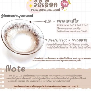 💥[ แถมตลับ Food grade ] Olivia (Light brown) ค่าสายตา 0.00-10.00 คอนแทคเลนส์