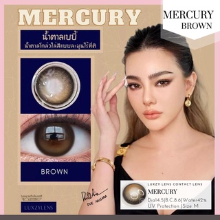 Luxzy Lens Mercury Brown ค่าสายตา 0.00-1000