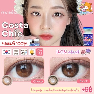 คอนแทคเลนส์ Costa Chic Black / Choco (Luxzy) ขนาดมินิ 🦋 รุ่นใหม่ 4 สีในเลนส์เดียว หวานละมุนสุดๆ