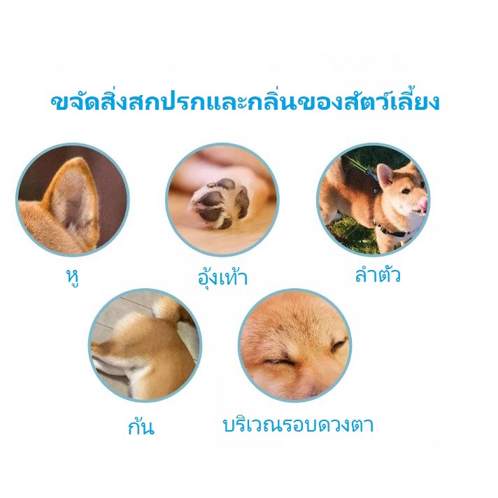 รูปภาพ 5