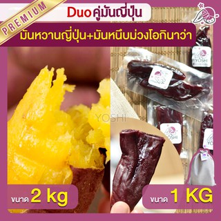 แพ็คคู่ถูกกว่า มันหวานญี่ปุ่น เบนิฮารุกะ 2kg + มันหนึบ 1kg  มันหวานญี่ปุ่นนำเข้า มันหนึบม่วง โอกินาว่า