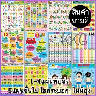 โปสเตอร์ กไก่ โปสเตอร์หัดอ่าน ก-ฮ abc a-z 1-100 สูตรคูณ โปสเตอร์อนุบาล โปสเตอร์ปฐมวัย โปสเตอร์นักเรียน โปสเตอร์อนุบาล