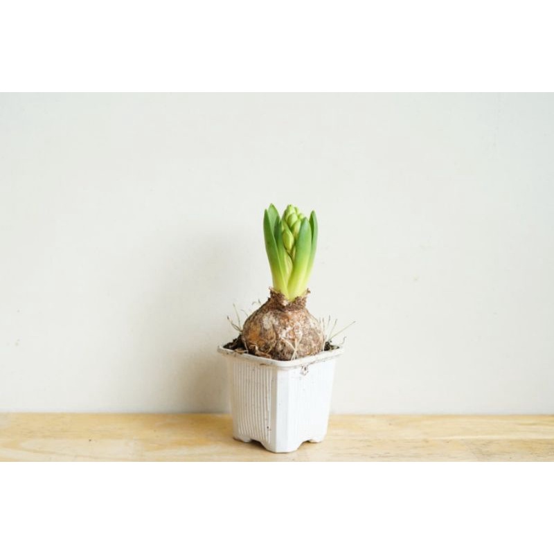 มุมมอง 4