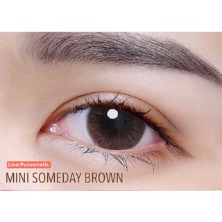 🛎Mini Someday Brown🛎(ธรรมชาติ)สายตาปกติถึง-2.25,-3.50,-4.25,-4.50,-4.75,-5.00,-5.50(kitty kawaii)