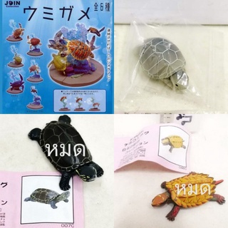 (แท้/มือ2) โมเดลสัตว์ เต่า animal egg furuta Choco Egg Animal 007C​เต่า กาชาปอง รูปสัตว์​ สัตว์​จิ๋ว​ Re-ment​