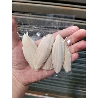 กระดองปลาหมึก แพ๊คจิ๋ว (5ชิ้น)