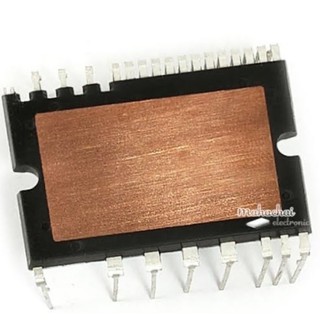 PS219A4 Power Module