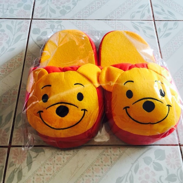 รองเท้าใส่ในบ้าน sleeper