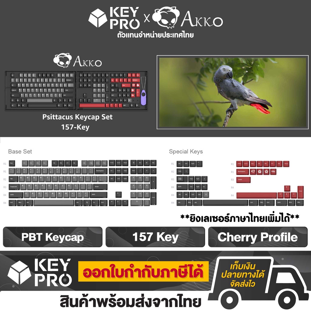 ปุ่มคีย์บอร์ด AKKO PBT Psittacus Keycap คีย์แคป 157 ปุ่ม Cherry Profile keypro