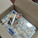 reviewร้านแนะนำ Linear Gateron Milky Yellow KS 3 x1 หนึ่งในสวิตช์ Mechanical ที่คุ้มค่าที่สุดในโลก KS3 Parkemech comment 1