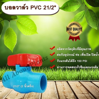 บอลวาล์ว PVC 21/2” (2นิ้วครึ่ง) ตราไทยเฟิง THAIFENG 2 นิ้วครึ่ง ประตูเปิดปิดน้ำ บอลวาล์วพีวีซี แบบสวม allaboutplants