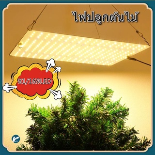 ไฟปลูกต้นไม้ ไฟปลูกพืช ลูกปัดโคมไฟ169 เม็ด ไฟปลูกต้นไม้ led grow light ช่วยการเจริญเติบโตของพืช สำหรับปลูกพืชเรือนกระจก