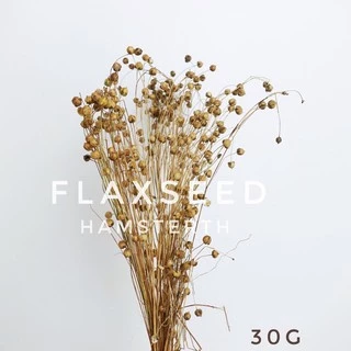 [Hamsterthailand]Flaxseed เฟล็ก มิลเล็ตสเปรย์ ข้าวฟ่าง ธัญพืช แทะคลายเครียด ขนมแฮมสเตอร์ อาหารนก