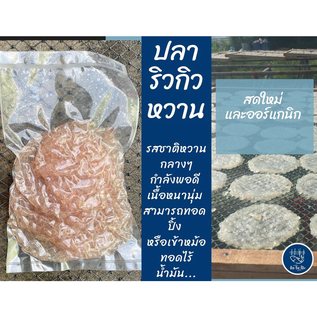 ปลาริวกิวหวาน ปลาริวกิวหวานแบบแผ่น ปลาหวาน ปลาริวกิวกลม เนื้อปลาริวกิวแท้100% ไม่ผสมแป้ง พร้อมส่ง