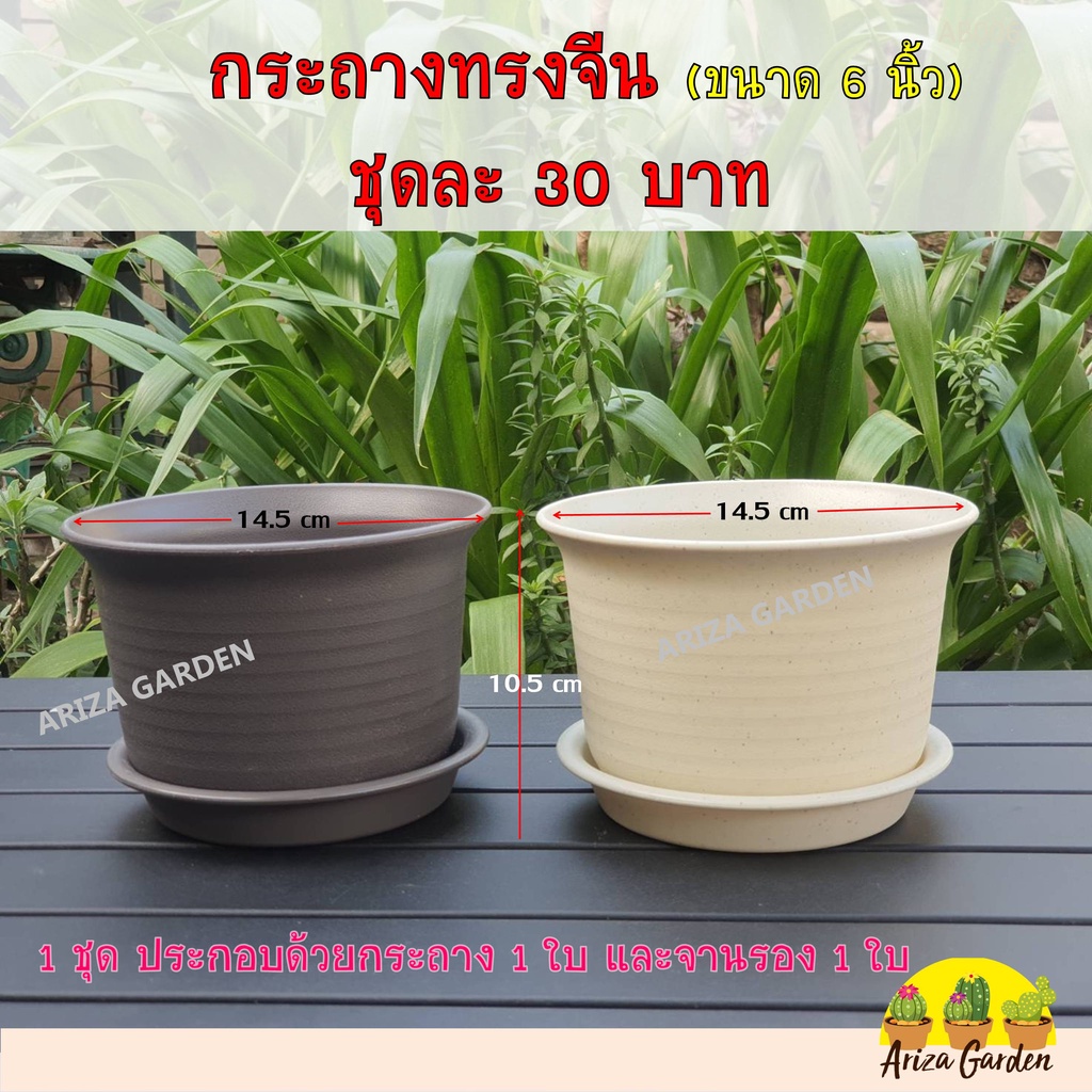 กระถางทรงจีน ขนาด 6 นิ้ว (1ชุดประกอบด้วย กระถาง 1 ใบ และจานรอง 1 ใบ)