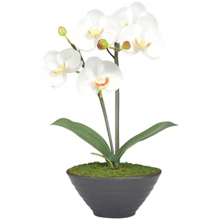 กล้วยไม้ปลอม ฟาแลนนอฟซิส phalaenopsis  จัดในกระถางเซรามิค สีสวยเหมือนจริง(AM-13-B F-9)