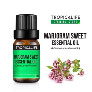 น้ำมันหอมระเหย มาโจแรม สวีท MARJORAM SWEET ESSENTIAL OIL ปริมาณ10 ml