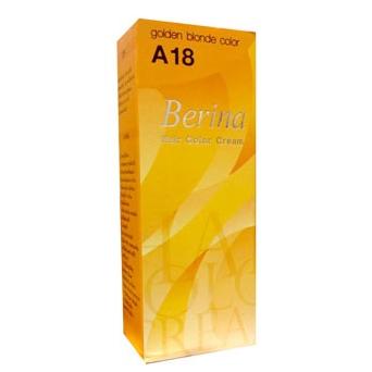 Berina – A18 สำหรับท่านที่ต้องการเปลี่ยนสีผม