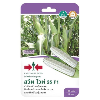 ข้าวโพดข้าวเหนียวลูกผสม F1 สวีทไวท์ 25 ศรแดง HYBRID WAXY CORN SEED F1 SORNDAENG SWEETWHITE 25