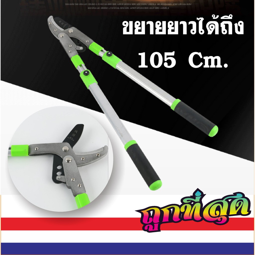 My Image 50