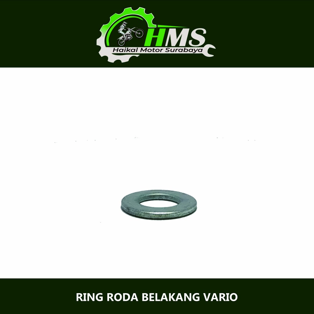 BEAT / VARIO REAR AXLE RING - WHEEL AXLE PLATE DD17, DL 30, T 3