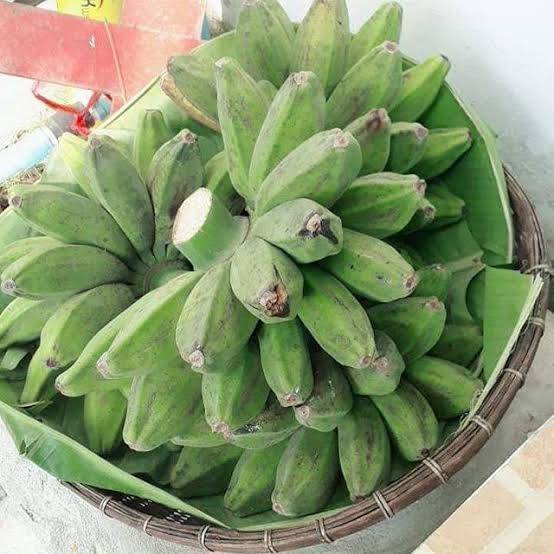ต้นกล้วยหิน (1 ต้น/แพ็ค) กล้วยพันธุ์ใหญ่ยักษ์ เนื้อแน่นรสหวาน แปรรูปได้หลากหลาย ลำต้นสูง 40-60 ซ.ม. - รูปที่ 3