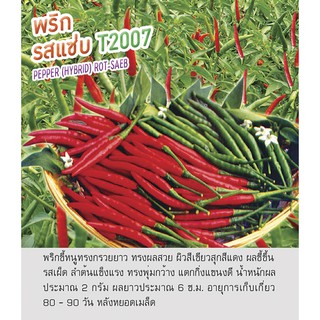 เมล็ดพันธุ์ พริกขี้หนู พริกจินดา พริก รสแซ่บ - Hot Pepper ตร…