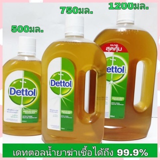 Dettol เดทตอล น้ำยาฆ่าเชื้อ เอนกประสงค์ เดทตอลไฮยีน​  (มีสินค้าพร้อมส่ง)