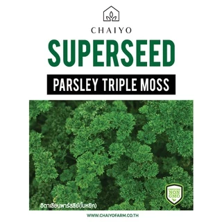 เมล็ด Parsley (Triple Moss) อิตาเลี่ยนพาร์สลีย์(ใบหยิก)