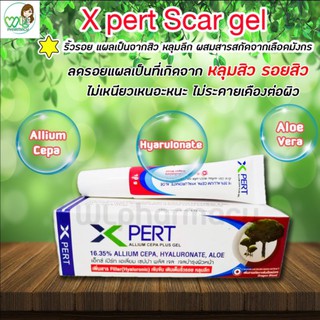 X PERT ALLIUM CEPA PLUS GEL ขนาด 10g เจลลดรอยแผลเป็น รอยดำ รอยแดง หลุมสิว