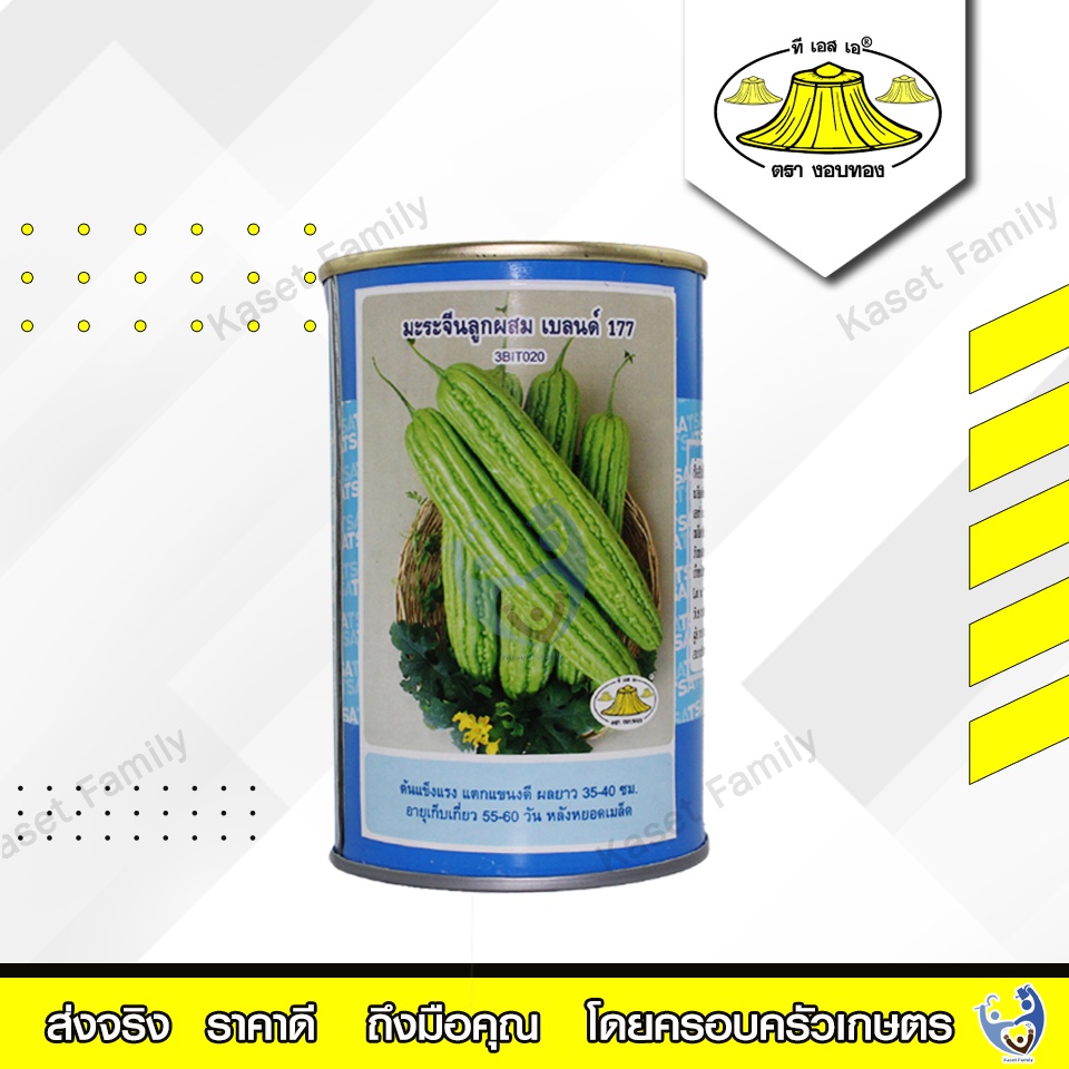มะระเบลนด์ 177 100 กรัม เมล็ดมะระ ตรางอบทอง