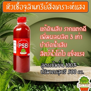 หัวเชื้อ จุลินทรีย์สังเคราะห์แสง PSB ขวด 500cc. คุณภาพสูง เห็นผลจริง สูตรเข้มข้น แท้ 100% เร่งราก ดอก ผล ดก