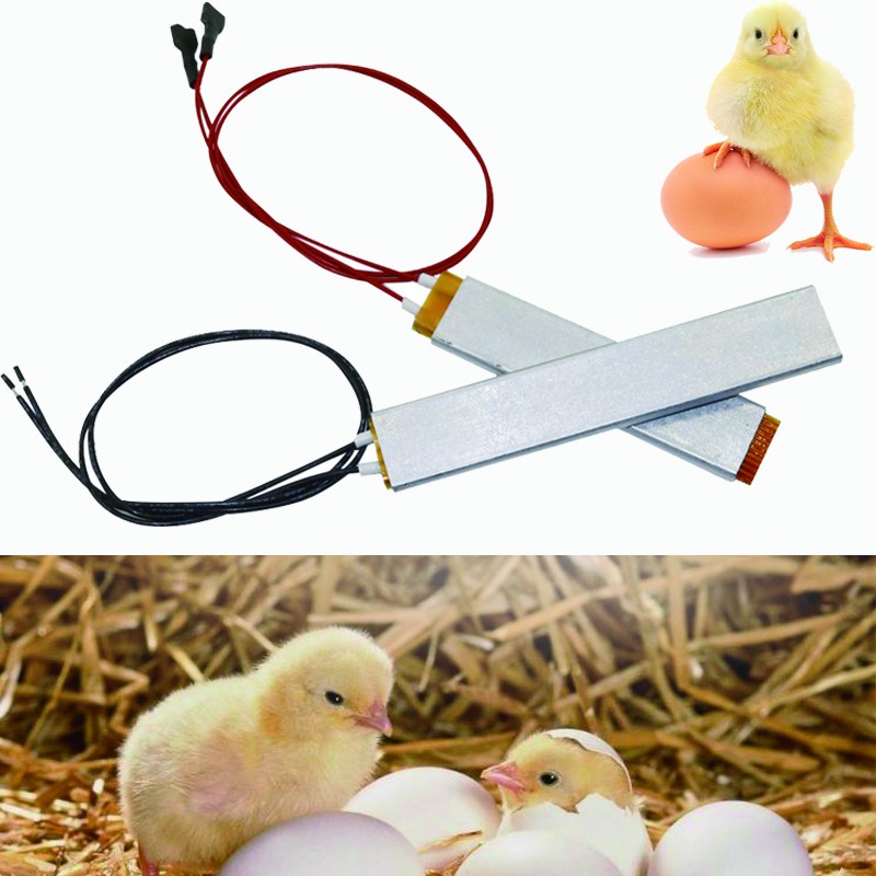 1 pcs 220 V/110 V/12 V เครื่องฟักไข่ PTC เครื่องทําความร้อน DIY เครื่องฟักไข่ในครัวเรือน power incubator อุปกรณ์เสริม