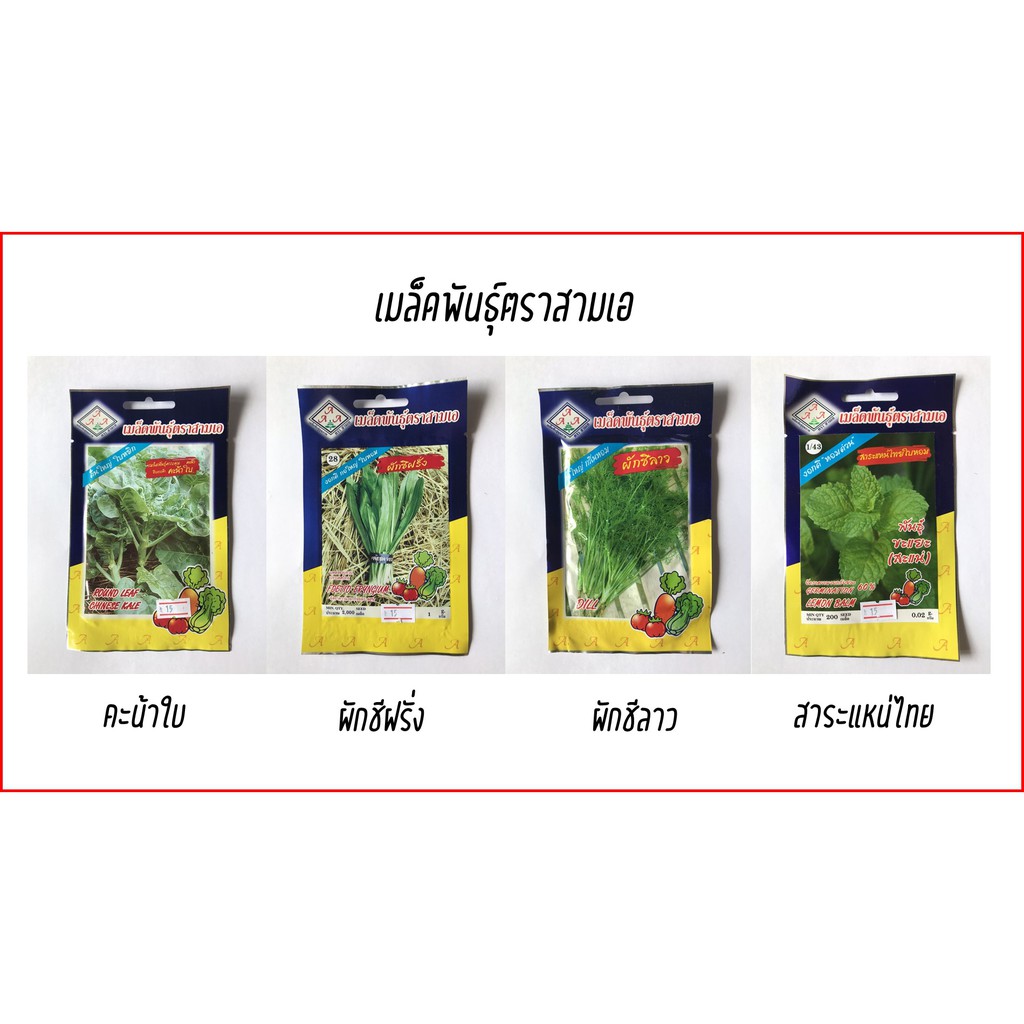 เมล็ดพันธุ์ผัก เมล็ดพันธุ์ตราสามเอ AAA เมล็ดคุณภาพ อัตราการงอกสูง โตไว ทนทานต่อโรค