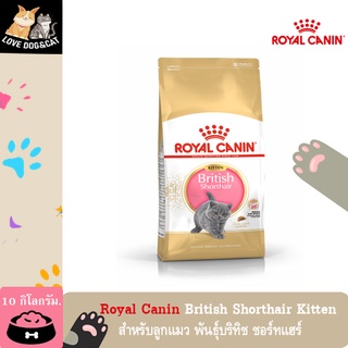 Royal Canin British Shorthair Kitten ขนาด 10 กก สำหรับลูกแมว พันธุ์บริทิช ชอร์ทแฮร์