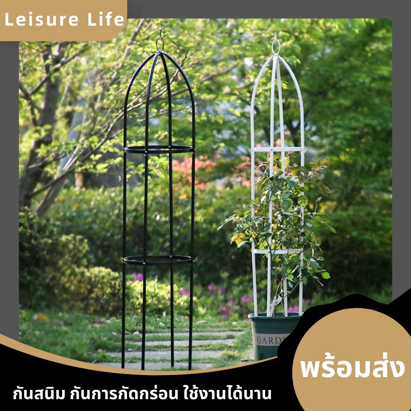 โครงดอกไม้กุหลาบพืชโครงไม้เลื้อยเครื่องตกเเต่งบ้านเเละสวนอุปกรณ์ตกแต่งสวนให้ดูดีมีสไตล์ โครงเหล็กดัด