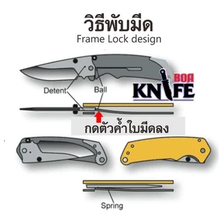 มีดพับ BROWNING DA77 Gold ขนาด 22.8cm ไม้แท้ สแตนเลส สีทองสวยงาม มีระบบดีดใบ เดินป่า ป้องกันตัว ทำอาหาร