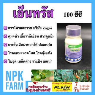 เอ็นทรัส 100 ซีซี โพรคลอราช สารคุม+กำจัดเชื้อราดีเยี่ยม ยาเย็น ฉีดผ่าดอกได้ ปลอดภัย โรคแอนแทรคโนส กุ้งแห้ง ใบจุด ราแป้ง