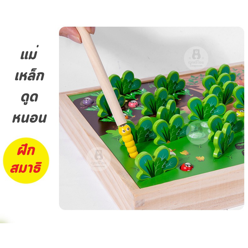 (พร้อมส่ง)2in1 ปลูกพืช ดูดหนอน เกมส์จับคู่ ของเล่นไม้ ของเล่นเด็ก ของเล่นเสริมพัฒนา Memory of Garden bug catching game - รูปที่ 2