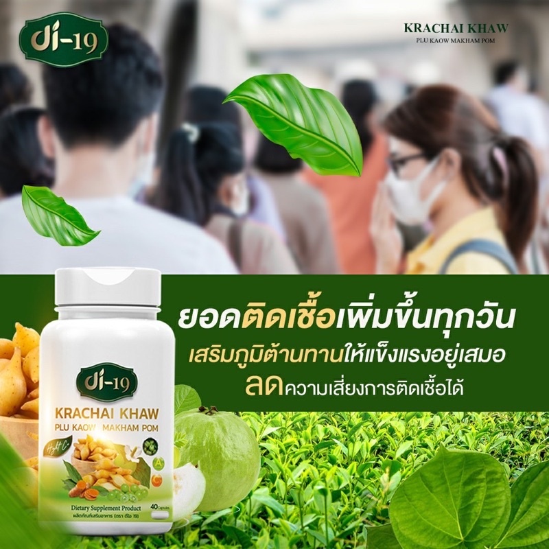 (กรอกโค้ด VOTM150 ลดเลย30%ขั้นต่ำ0บาท )พร้อมส่ง Di19 กระชายขาวสกัด สูตรเข้มข้น มีฤทธิ์ต้านเชื้อไวรัส