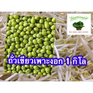 ถั่วเขียวเกรดA ใช้เพาะถั่วงอก ทำขนม ปลูกเก็บเมล็ด ปุ๋ยพืชสด นำ้หนัก 1 กิโลกรัม
