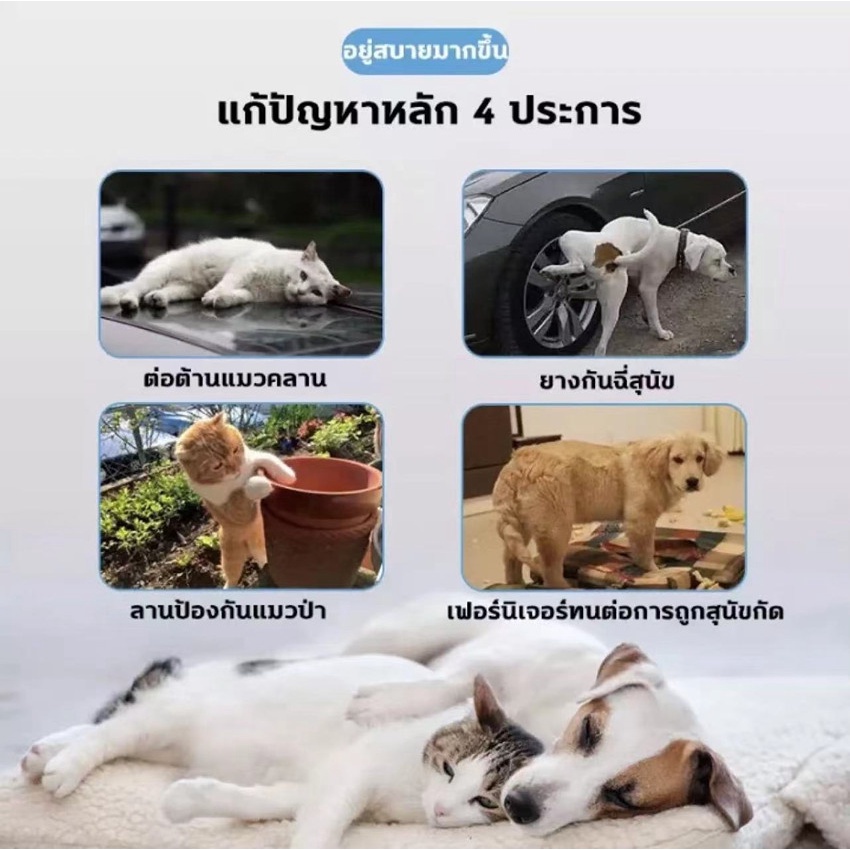 ✅DAOLIQIป้องกันสัตว์เลี้ยงจากการกัดเกา ถ่ายอุจจาระทุกที่ ขโมยอาหาร ตั้งเขตหวงห้าม（ยาไล่แมว，กันแมวฉี่，สเปยกันหมาฉี่，สเปรย ราคา ถูกที่สุด ดีลบีเคเค แกลเลอรีภาพที่ 9