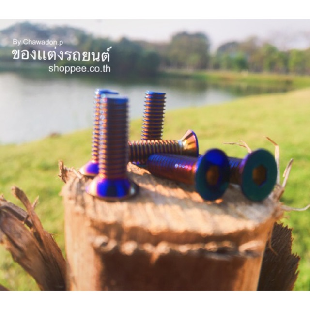 น็อตพวงมาลัยไทเทเนี่ยม 6 ตัว แบบ หัวกลม/หัวแบน