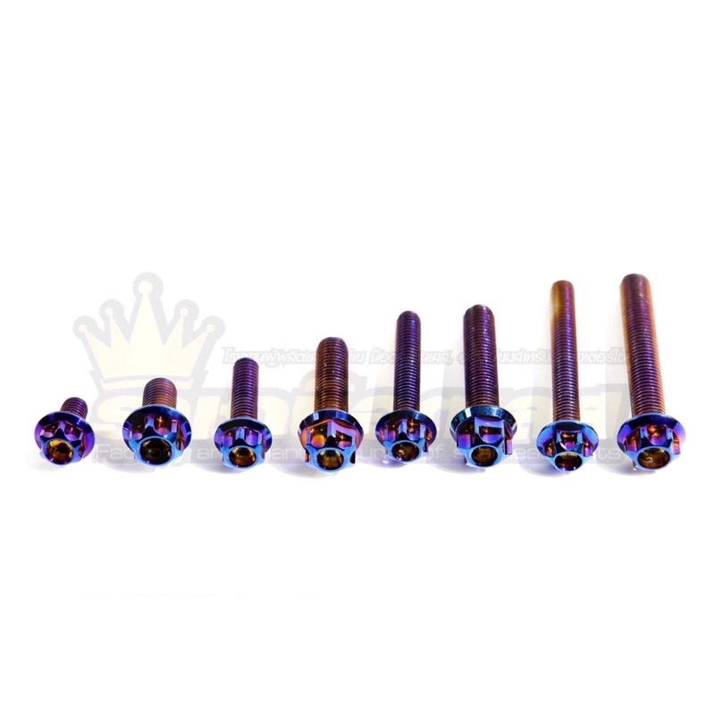 น๊อตหัวเฟือง สีไทเท ทุกไซส์ M4(6) M5(8) M6(10) M8(12) M10(14) ราชาน๊อต ระยะ 1.25 ทั้งหมด